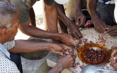 Madagascar, la meraviglia del cacao più pregiato